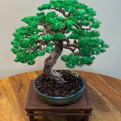 Maple III.