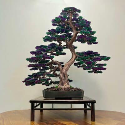 Bonsai Lavender 1x1