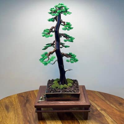 Larch II.