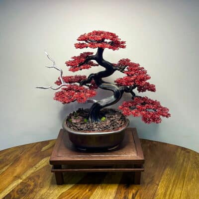 Red Maple II.