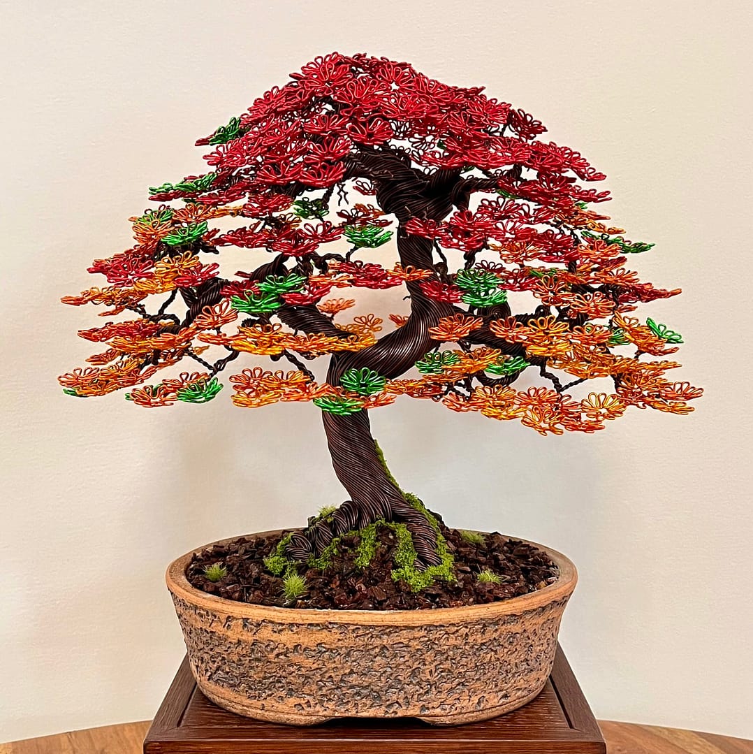 Autumn Maple