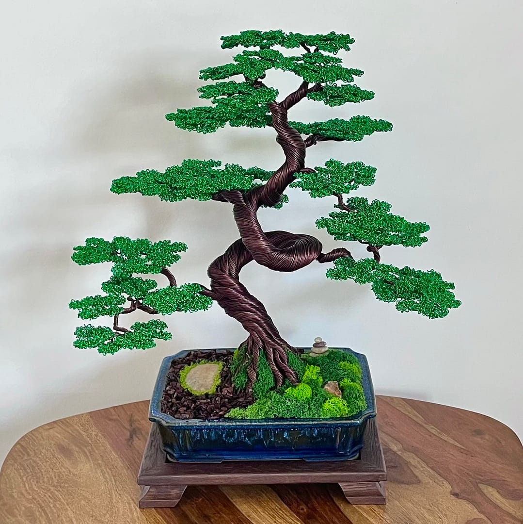 Zelkova II.