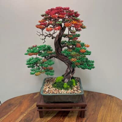 Autumn Hornbeam 1x1