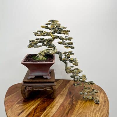 Tiger Cascade