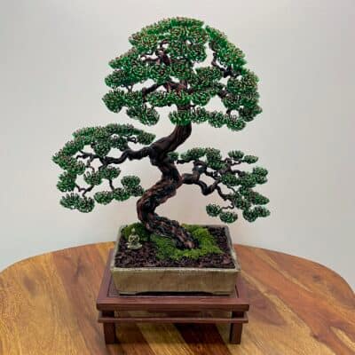 Pine II.