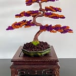 SHOHIN BARK III.