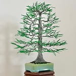 ZINC BEECH (Custom made)