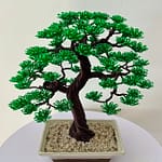 SHOHIN IN SAND