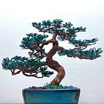 MAME PINE