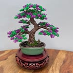 SHOHIN PURPLE AZALEA