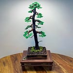 LARCH II.