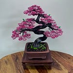 SAKURA (Custom Made)