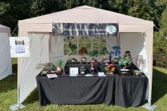 Japonské dny v Průhonické botanické zahradě