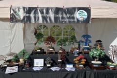 Japonské dny v Průhonické botanické zahradě