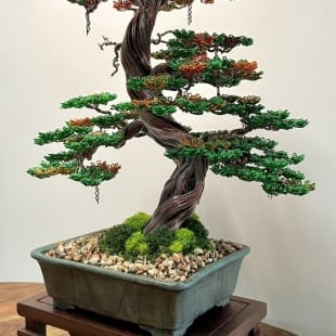 Autumn Hornbeam