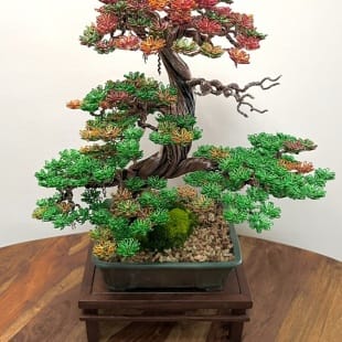 Autumn Hornbeam