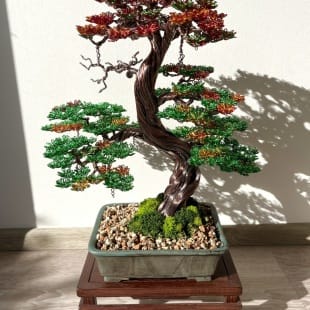Autumn Hornbeam