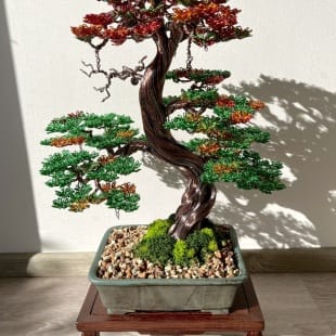 Autumn Hornbeam