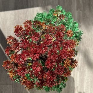 Autumn Hornbeam