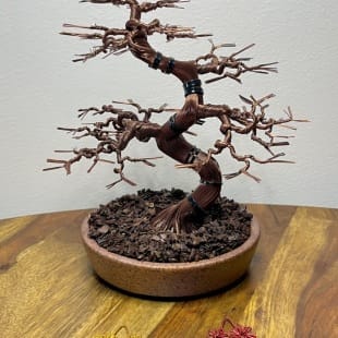 Autumn Maple Shohin