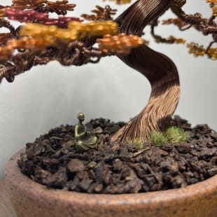 Autumn Maple Shohin