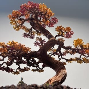 Autumn Maple Shohin