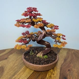 Autumn Maple Shohin
