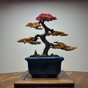 Autumn Shohin II.