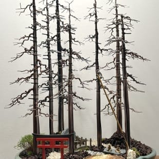 27-80