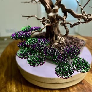 Bonsai Lavender