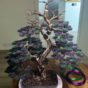 Bonsai Lavender