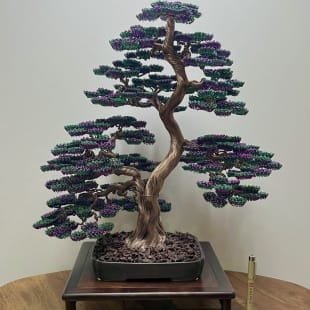 Bonsai Lavender