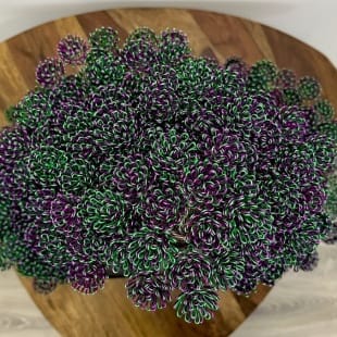 Bonsai Lavender