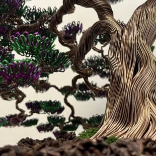 Bonsai Lavender