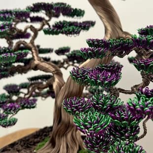 Bonsai Lavender