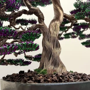 Bonsai Lavender