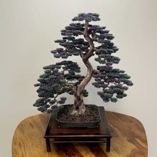 Bonsai Lavender