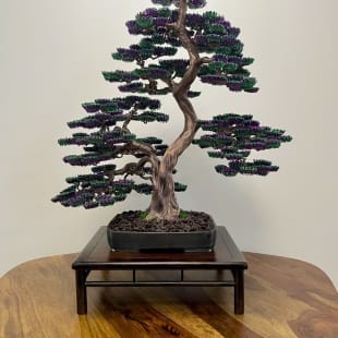 Bonsai Lavender