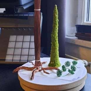 Cedar
