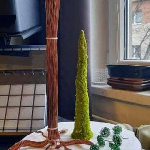 Cedar