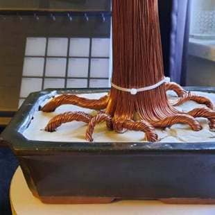 Cedar
