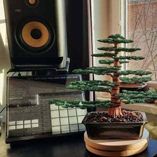 Cedar