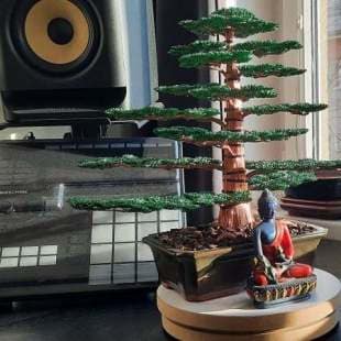 Cedar