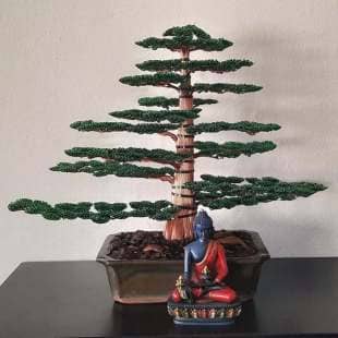 Cedar