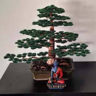 Cedar
