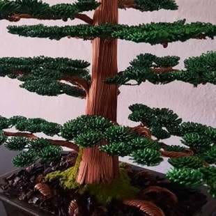 Cedar