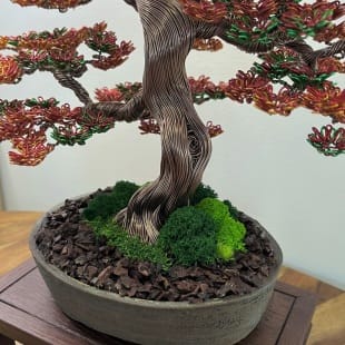 Fire Maple