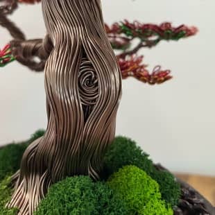 Fire Maple
