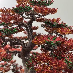 Fire Maple