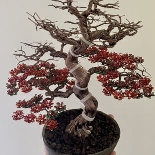 Fire Maple